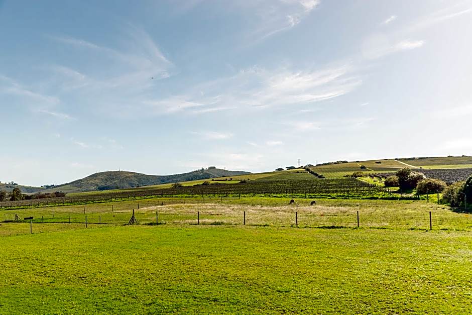 Lovane Boutique Wine Estate and Guesthouse
