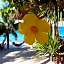 Bamboo House Beach Lodge & Restaurant