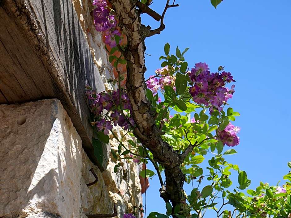 Le Tamaris Chambres d'hôtes