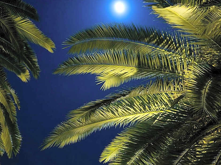 Palais Shéhérazade & Spa