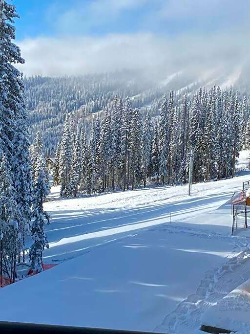 Cozy Modern Ski-in & Ski-out, Hot Tub, Townhouse