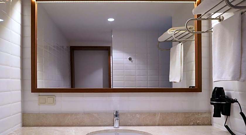 Four Points Flex by Sheraton Bursa Nilufer 