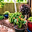 House 5863- Chicago'S Premier Bed And Breakfast