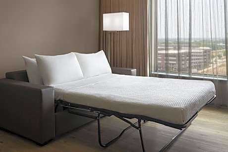 Executive King Suite