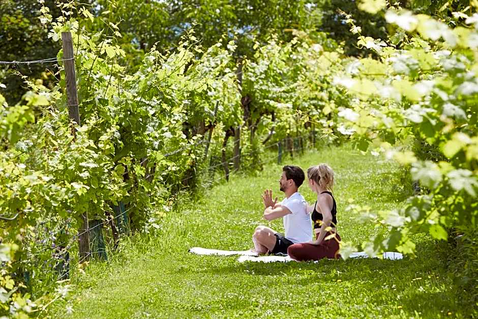 Steigenberger Hotel And Spa Krems