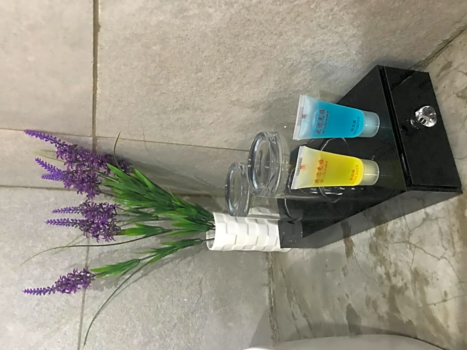 ang lee holiday stay