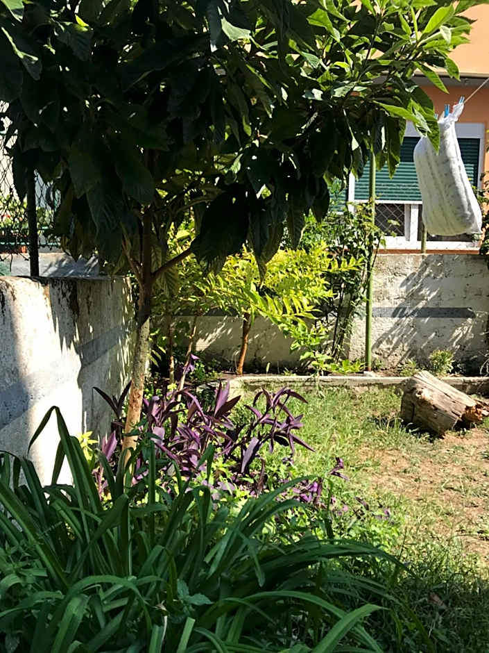 Nirvana Rooms & Apartments