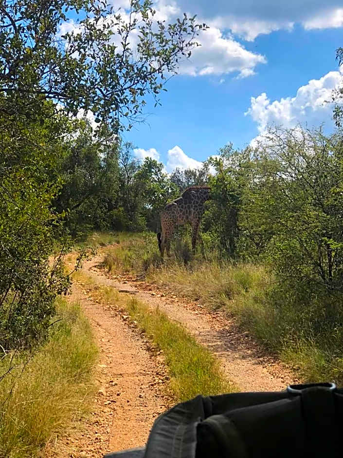 Milkwood Safari Lodge