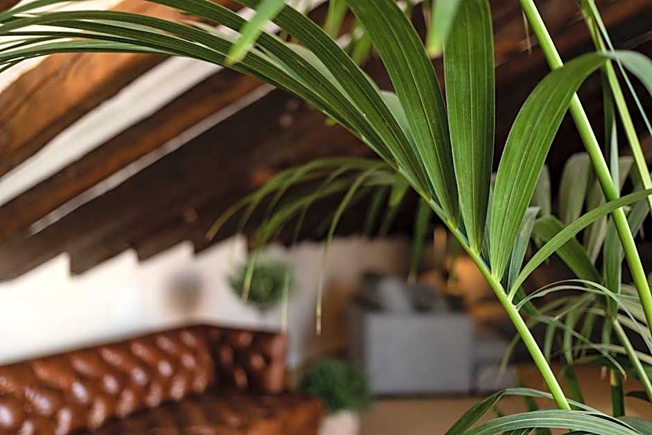 Petit Palace Preciados