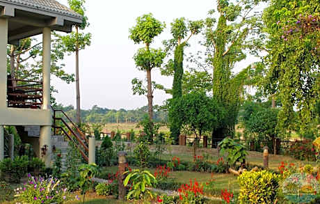 River View Jungle Camp