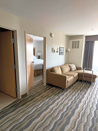 One-Bedroom King Suite - Non-Smoking