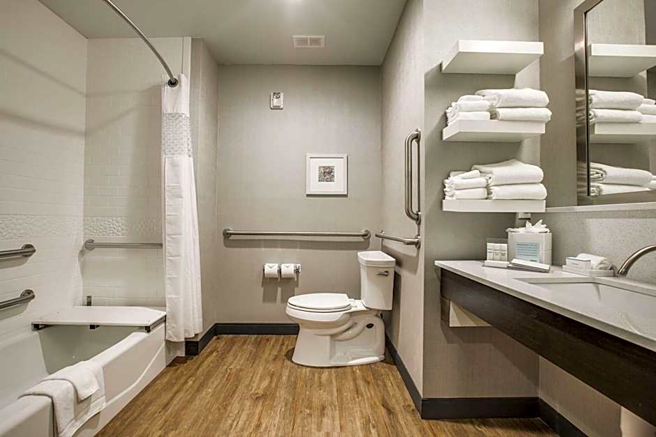 Hampton Inn By Hilton & Suites Dallas/Ft. Worth Airport South