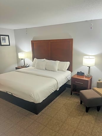 1 King Bed, Nonsmoking, Accessible