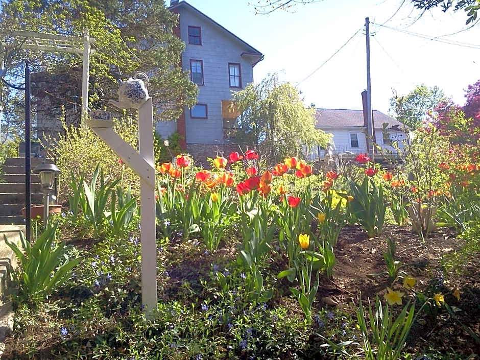 The Queen, A Victorian Bed & Breakfast