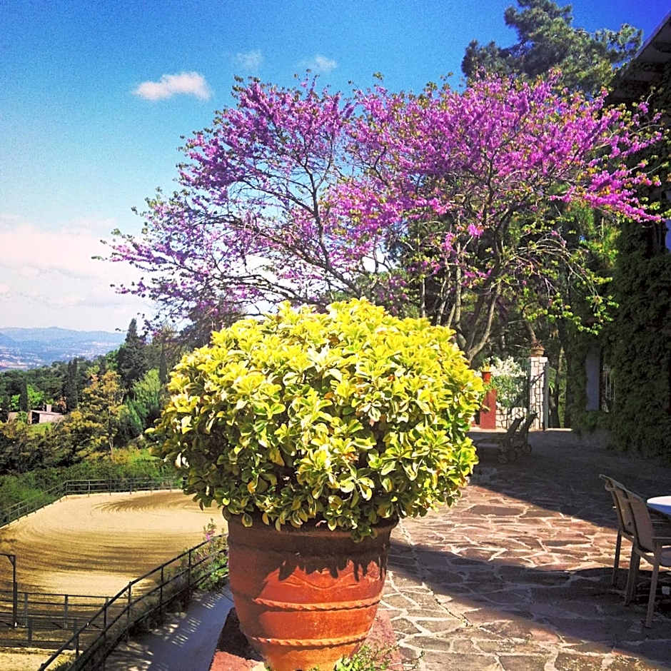 Masia Vista Hermosa