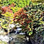 Kurokawa Onsen Oku no Yu