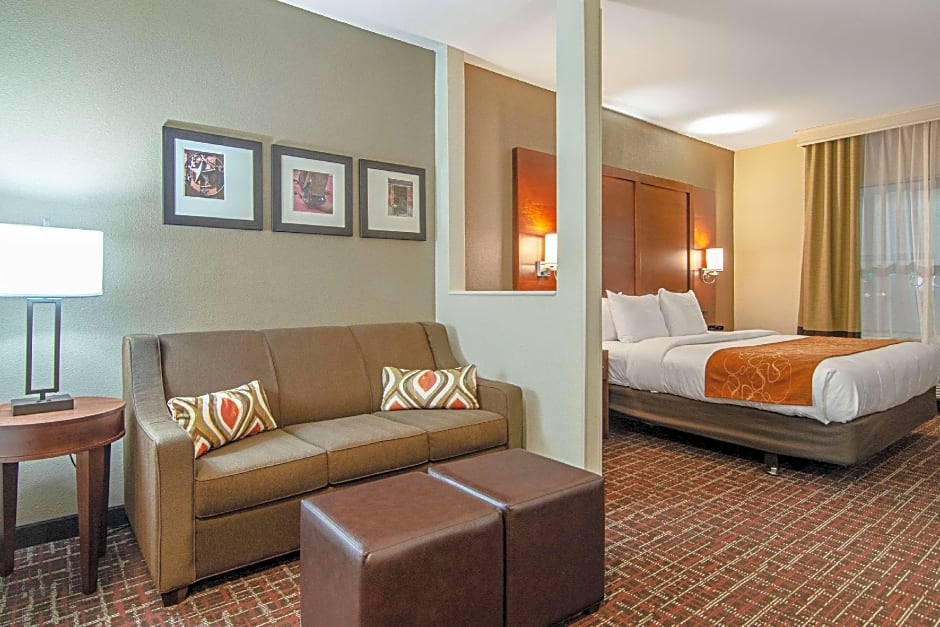 Comfort Suites NW Dallas Near Love Field