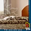 Suites Del Sol