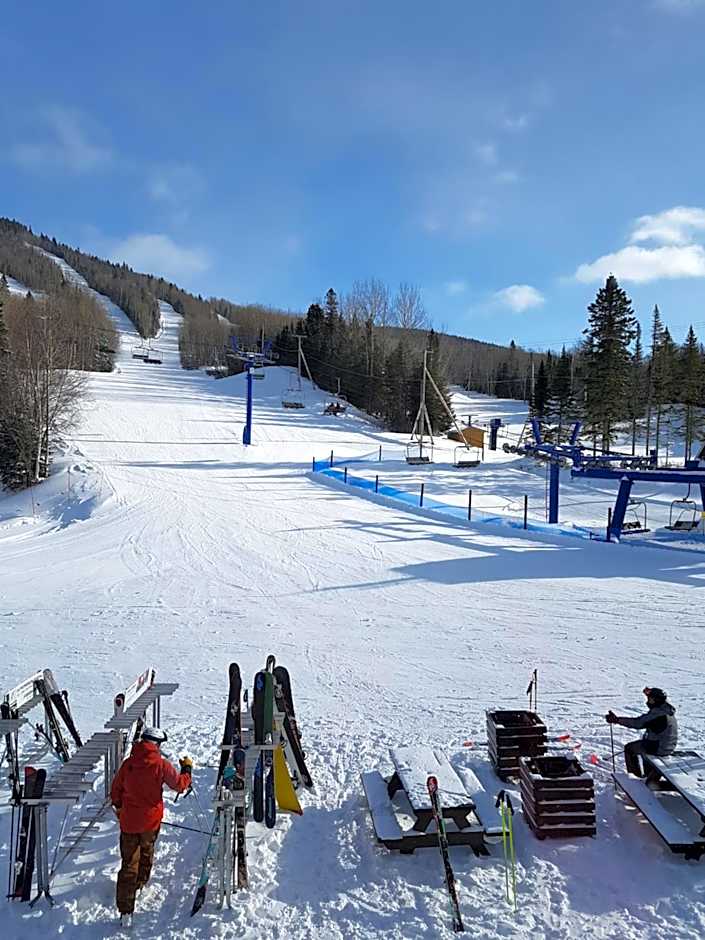 Hôtel et Pavillons Le Petit Manoir du Casino