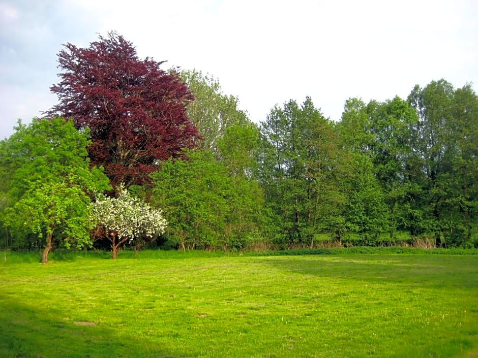 Gartenzimmer im Schloss Neuhausen