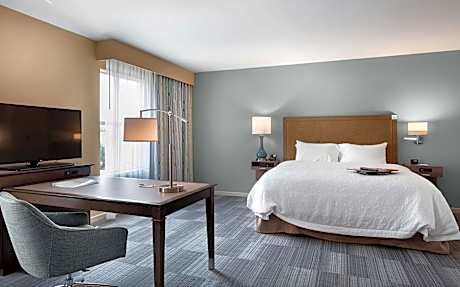 King Studio Suite - Non Smoking