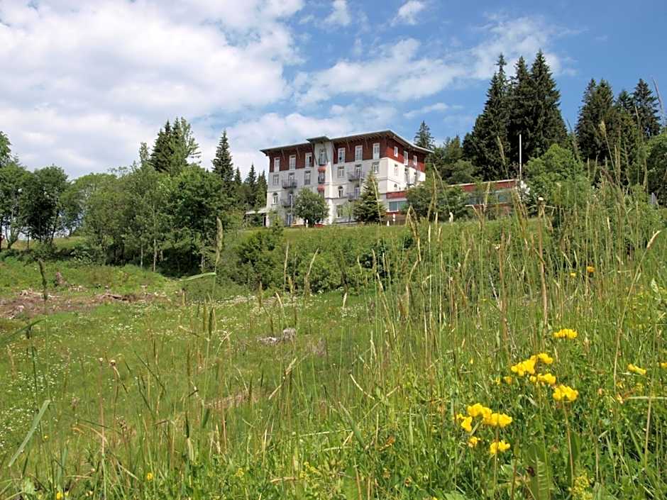 Das Waldhotel - Genuss & Wellness am Notschreipass
