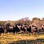 Weltevreden Game Lodge