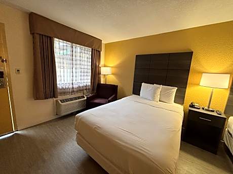 1 King Bed | Suite, Smoking