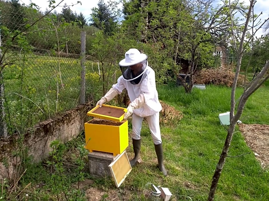 Les Vergers de Cussy