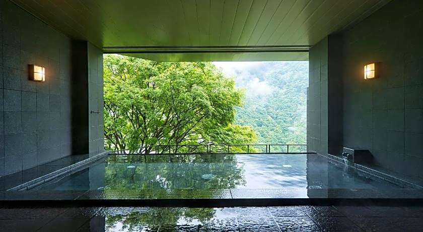 Wanoyado Hotel Iya Onsen Natural Hot Spring