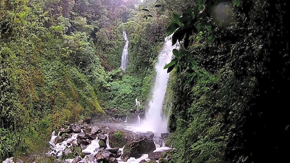 Happy Coconut Camiguin