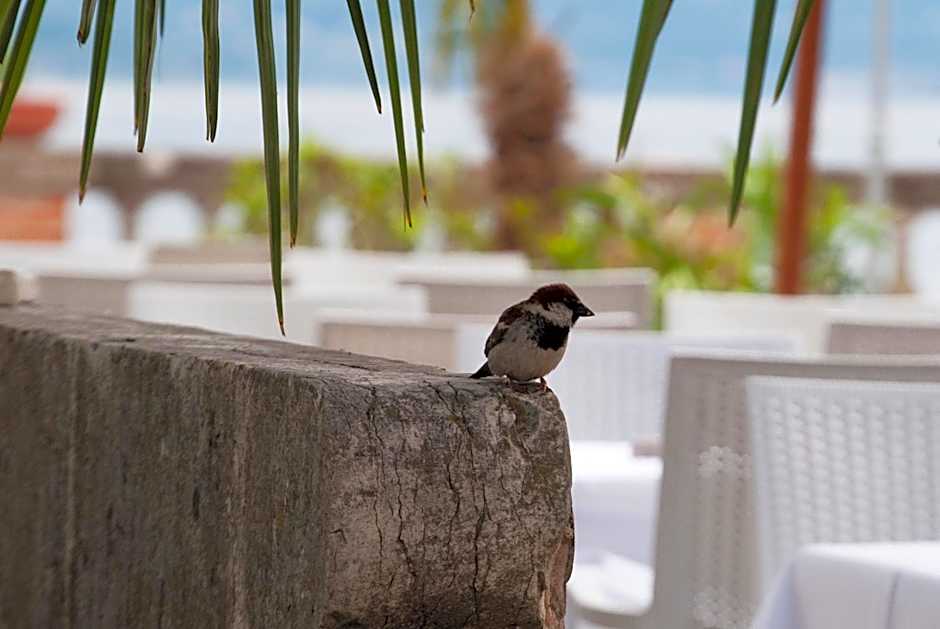 Villa Pioppi Hotel