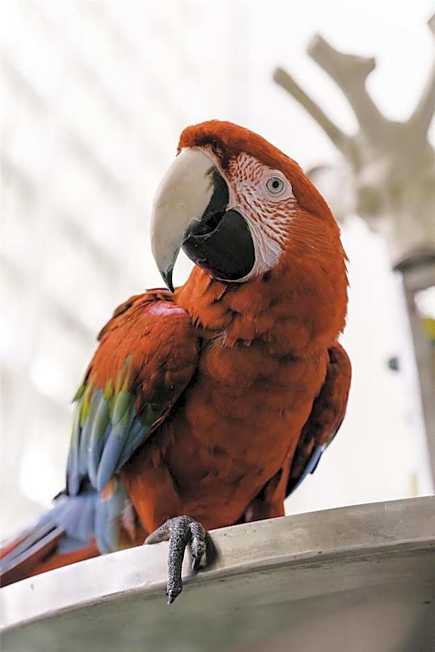 Hyatt Regency Grand Cypress Resort