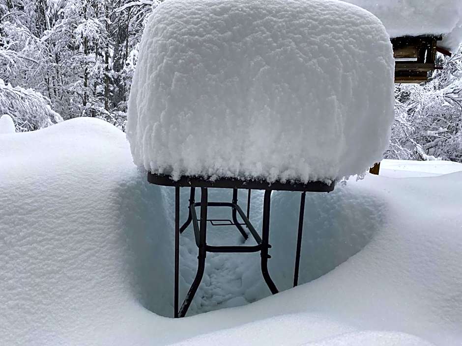 Nagelfluhhaus Hirsch