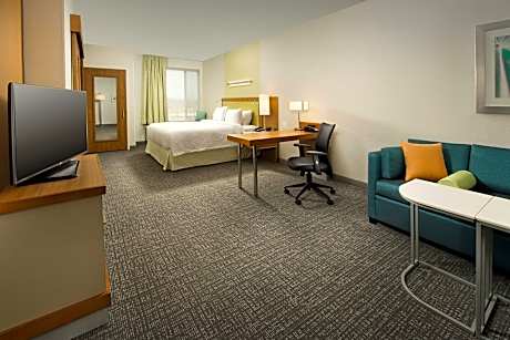 Studio, 1 King Bed with Sofa bed (1 King Bed and 1 Double Sofa Bed)