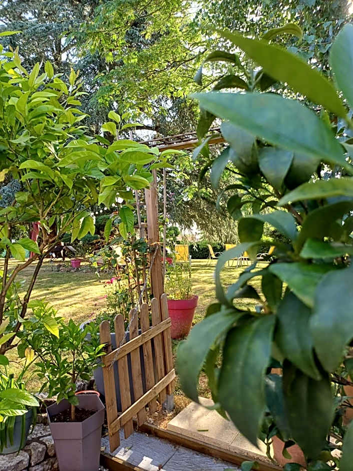 L'Orangerie