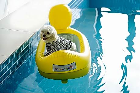 Mungs Club Pet friendly Pool Villa