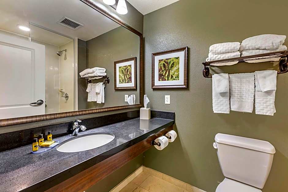 Best Western Plus Chandler Hotel & Suites