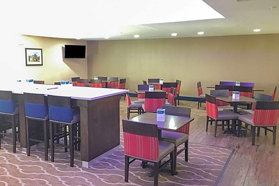 Comfort Inn & Suites Near Six Flags & Medical Center