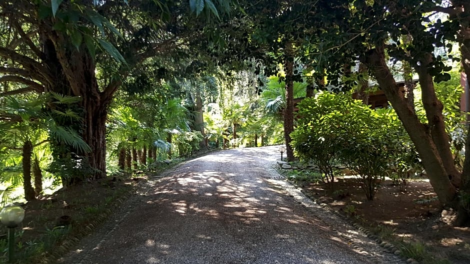 Villa Magnolia Lago Maggiore