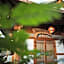 Samlockhon Hanok Guesthouse