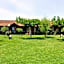Denis Hotel and Bungalows