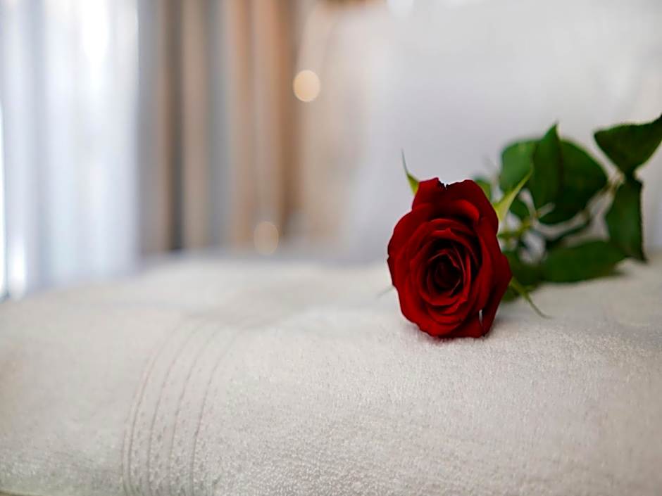 Petit Palace Suites Hotel