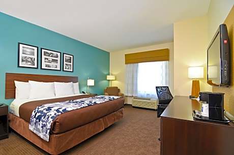 King Suite with Sofa Bed - Non-Smoking