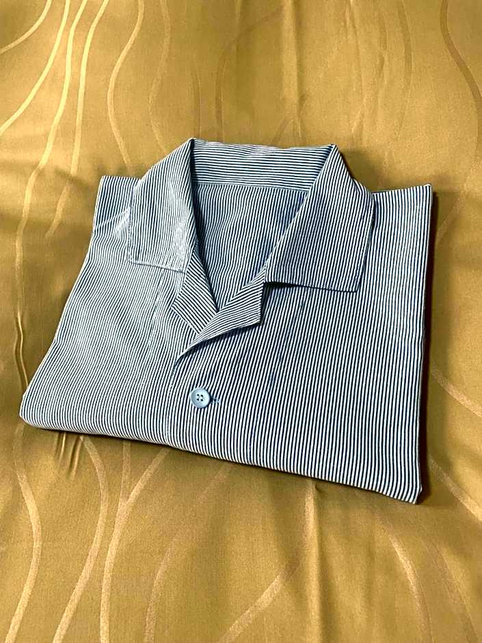 Terminal Hotel Matsuyama