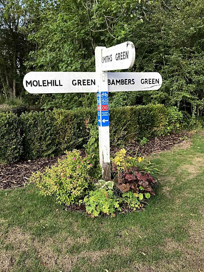 Old Thatch Bambers Green