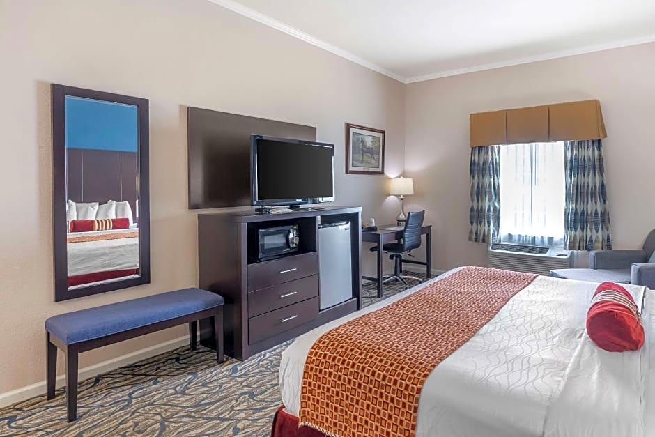 Best Western Spring Hill Inn & Suites