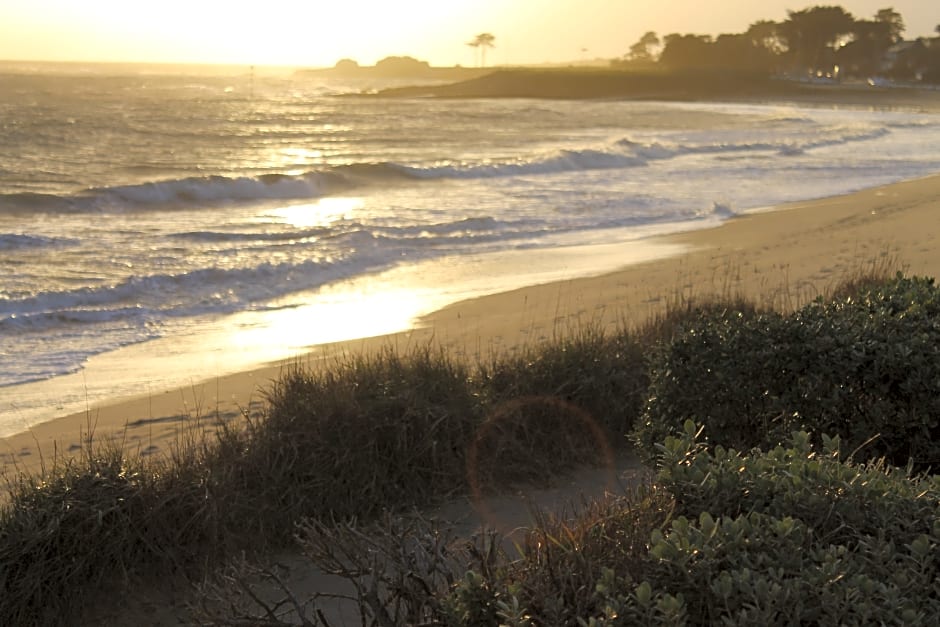 Logis Hotel & Restaurant Les Mouettes,Larmor Plage