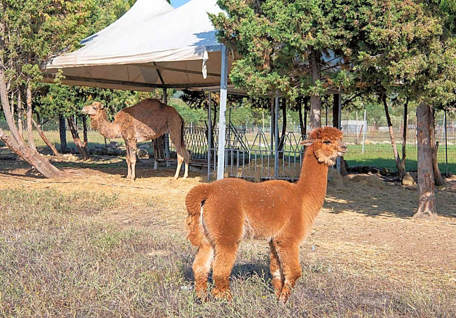 Hotel Rurale Orti di Nora & SPA