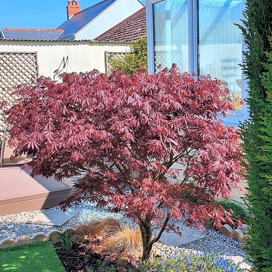 Eden's Rest Bed and Breakfast